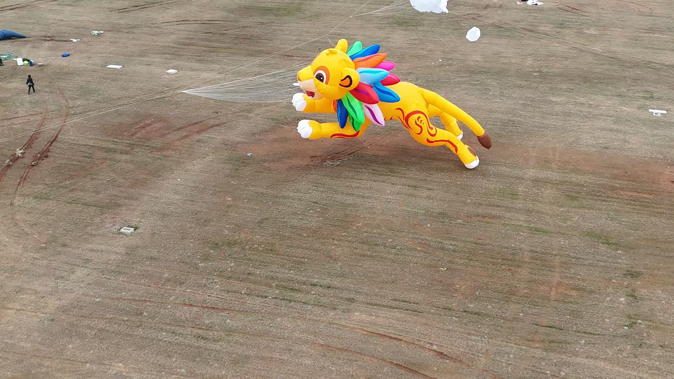 怀化市品牌风筝定制风筝放飞活动策划 - 一站式服务
