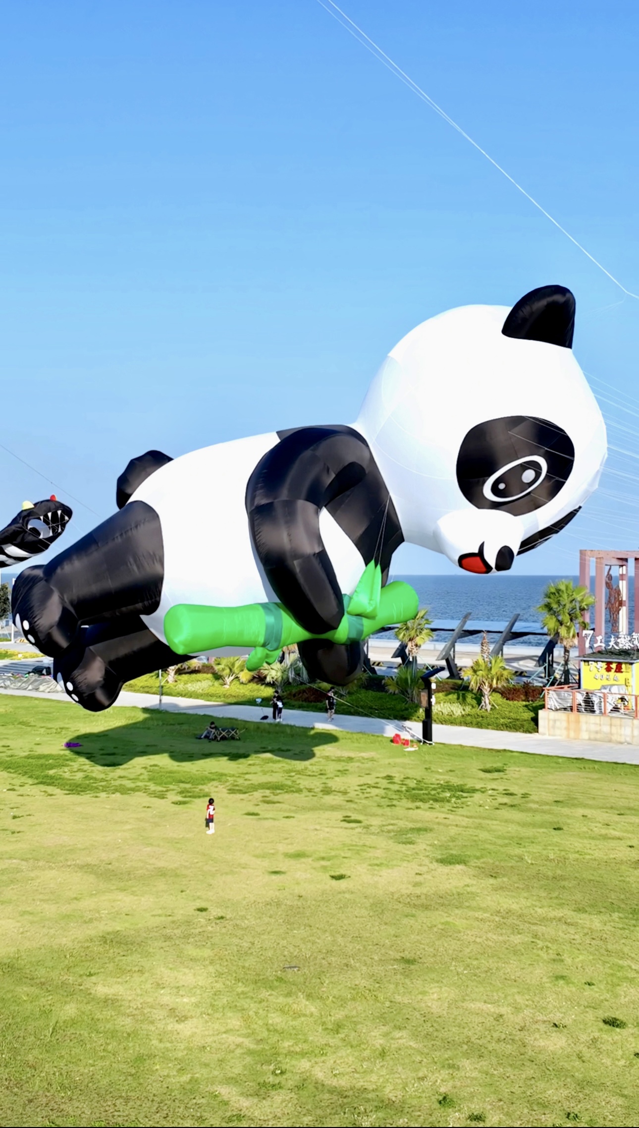 怀化市儿童风筝定制风筝放飞活动策划 - 一站式服务